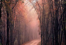 亚冠榜首对决，北京队不敌广东被绝杀