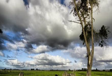 伦敦德比战平收场，欧战资格竞争激烈