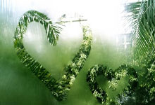 芬兰完胜乌克兰，晋级淘汰赛冲击冠军