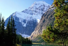 重要体育事件爆出幕后故事，引爆情绪