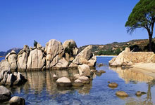 技惊四座，球员破门得分揭开胜利序幕！